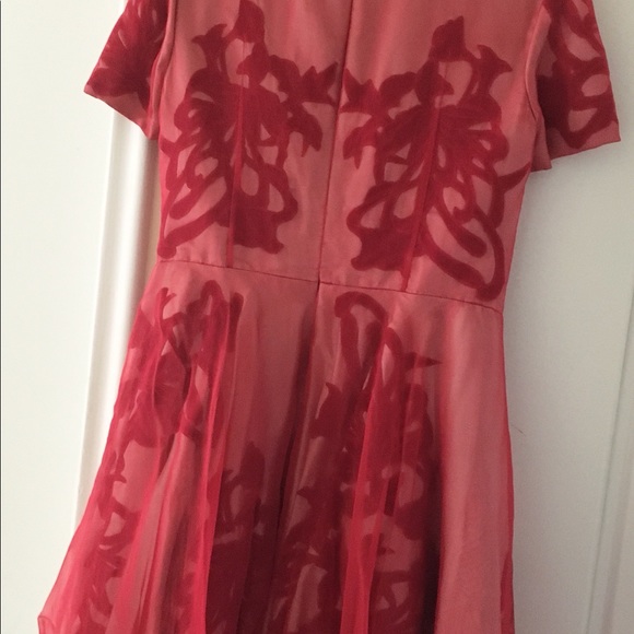 Narces - Collared Short Sleeve Dress with Velvet Detail - Picture 4 of 10